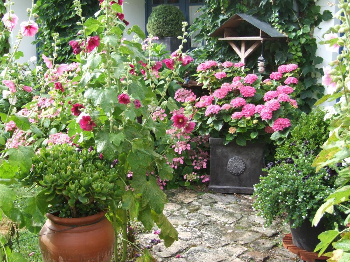 Les Glycines Bed and Breakfast Ury Εξωτερικό φωτογραφία