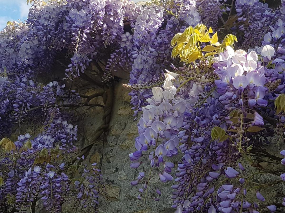 Les Glycines Bed and Breakfast Ury Εξωτερικό φωτογραφία