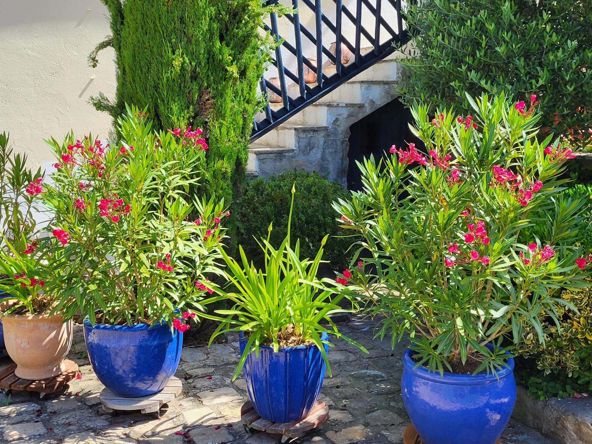 Les Glycines Bed and Breakfast Ury Εξωτερικό φωτογραφία