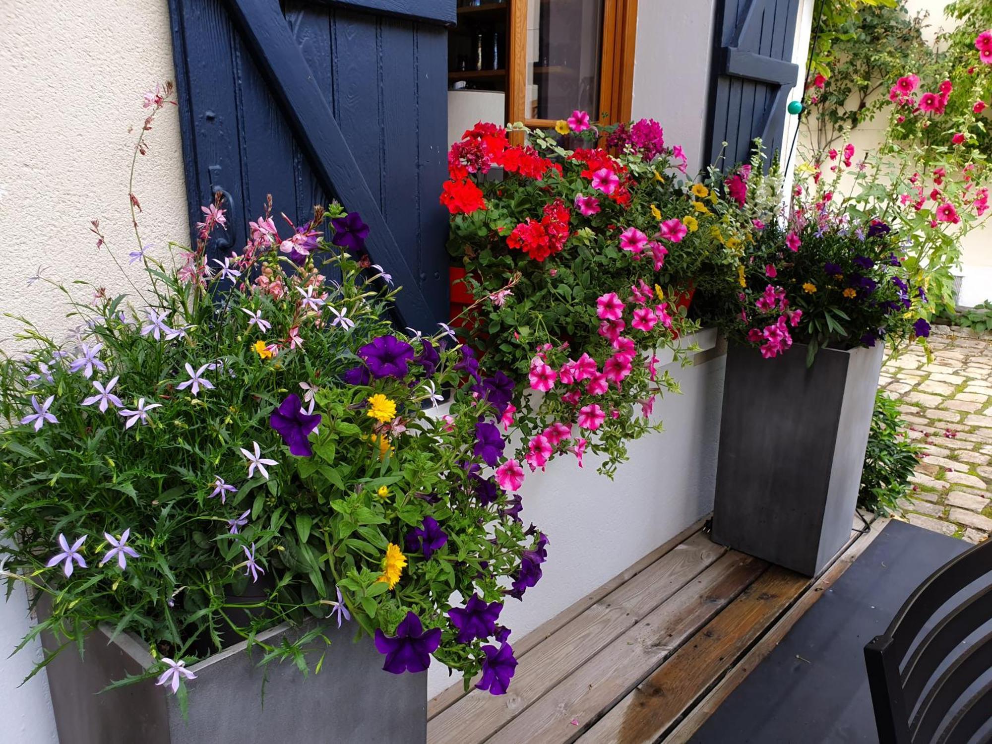 Les Glycines Bed and Breakfast Ury Εξωτερικό φωτογραφία