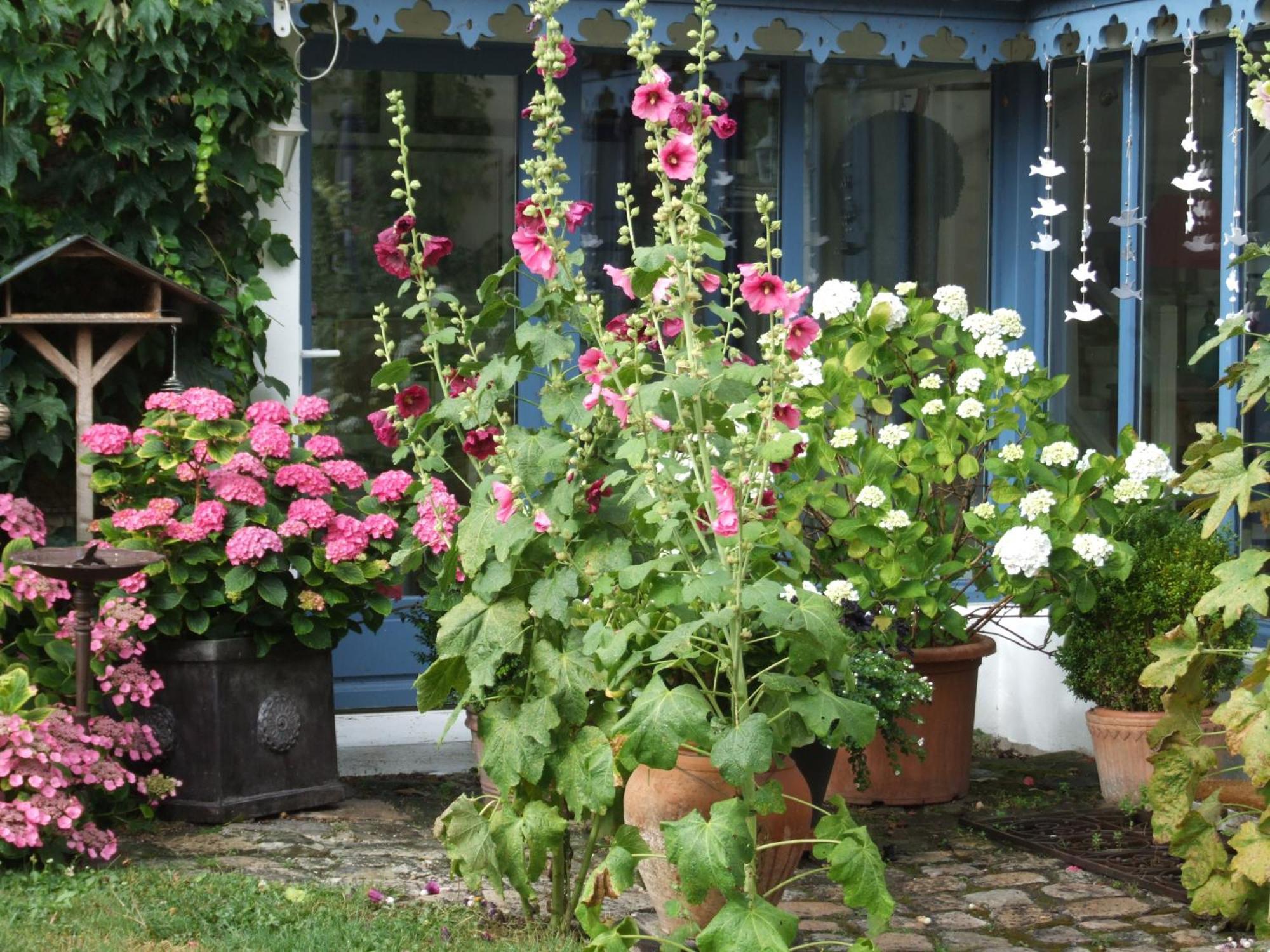 Les Glycines Bed and Breakfast Ury Εξωτερικό φωτογραφία